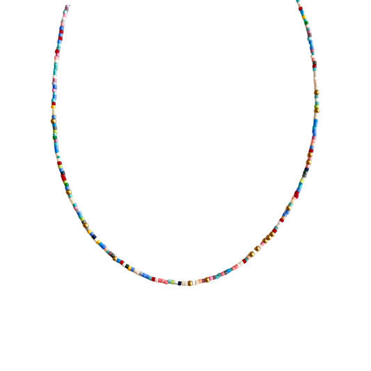 Multi-Color Beaded Necklace
