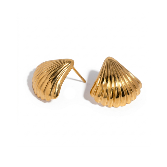 Gold Shell Post Back Earring