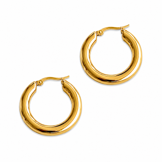 A pair of polished yellow gold hoop earrings with a thick, rounded double-band design and secure fishhook closures, shown on a plain white background.