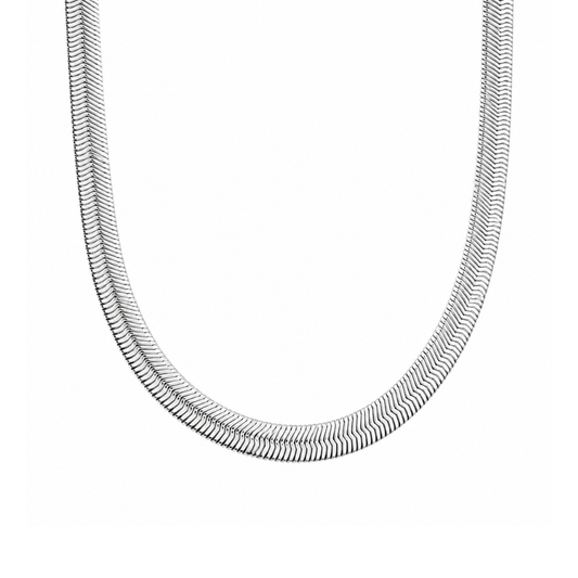 A silver snake chain necklace shown in a U-shape against a plain white background.